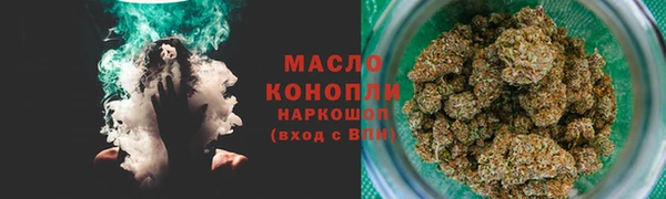 прущие грибы Абаза