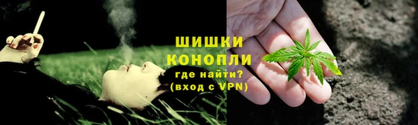 прущие грибы Абаза