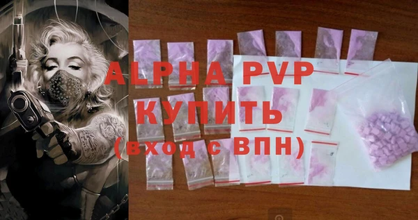 прущие грибы Абаза