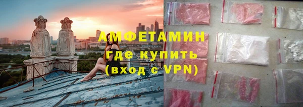 прущие грибы Абаза
