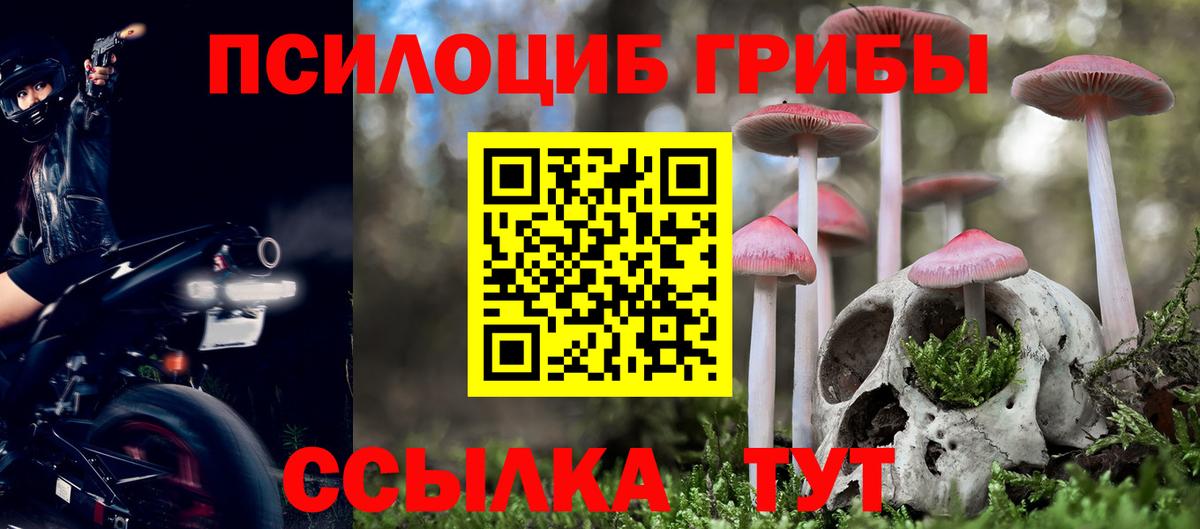 Псилоцибиновые грибы мицелий  Галлюциногенные грибы GOLDEN TEACHER  Вход с VPN  Таганрог 